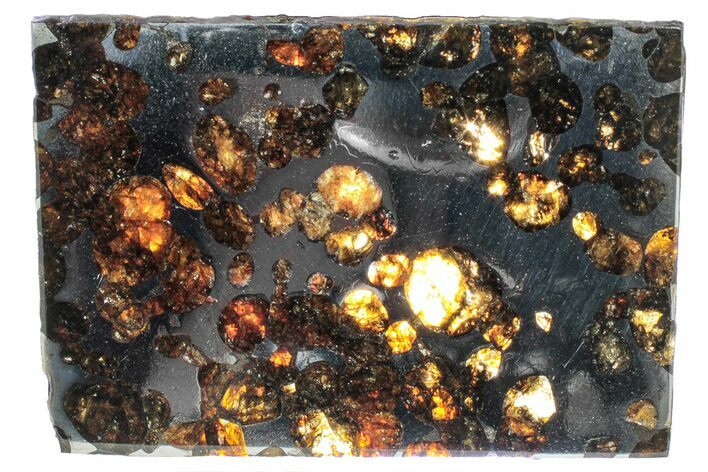 Polished Sericho Pallasite Meteorite ( g) Slice - Kenya #313710